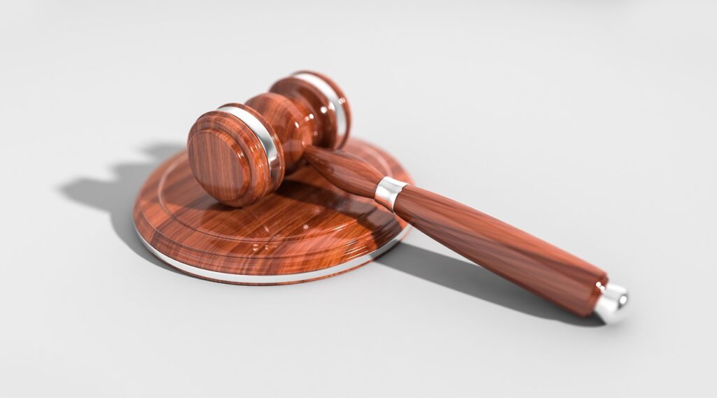 Citizens File Legal Challenge to Halt General Elections in Dominica: Calls for a for a Stay of Future Elections Until the Constitution of the Commonwealth of Dominica and Electoral Laws are enforced and Complied with.